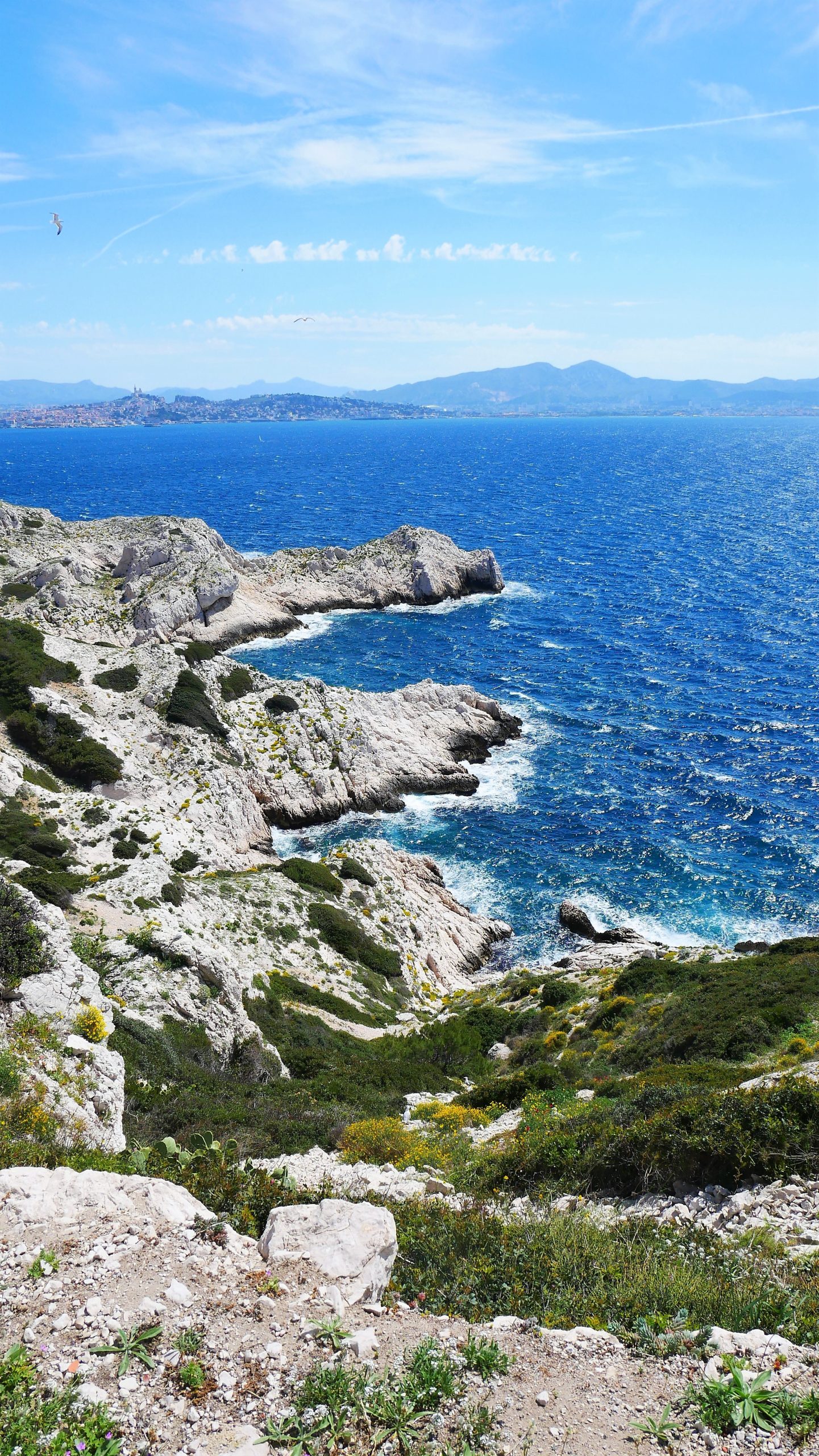 pexels-djé-marseille-7883748